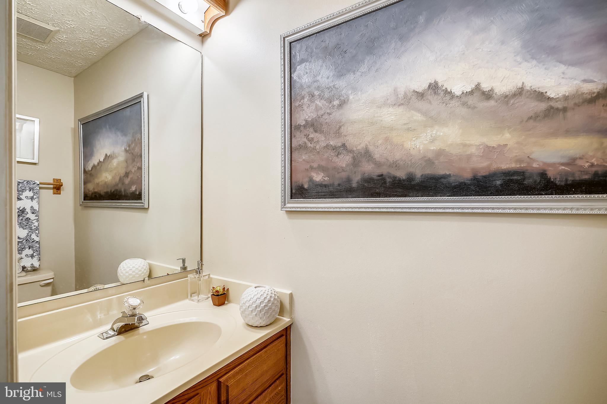 8107 Greenspring Valley Road Owings Mills, MD 21117 - Photo 21 of 24 1st floor powder room