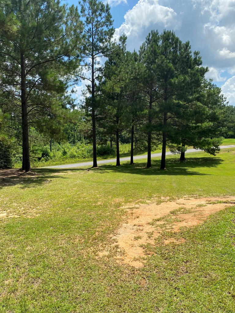 1026 Great Pt Road McComb, MS 39648 - Photo 7 of 26 Photo 7