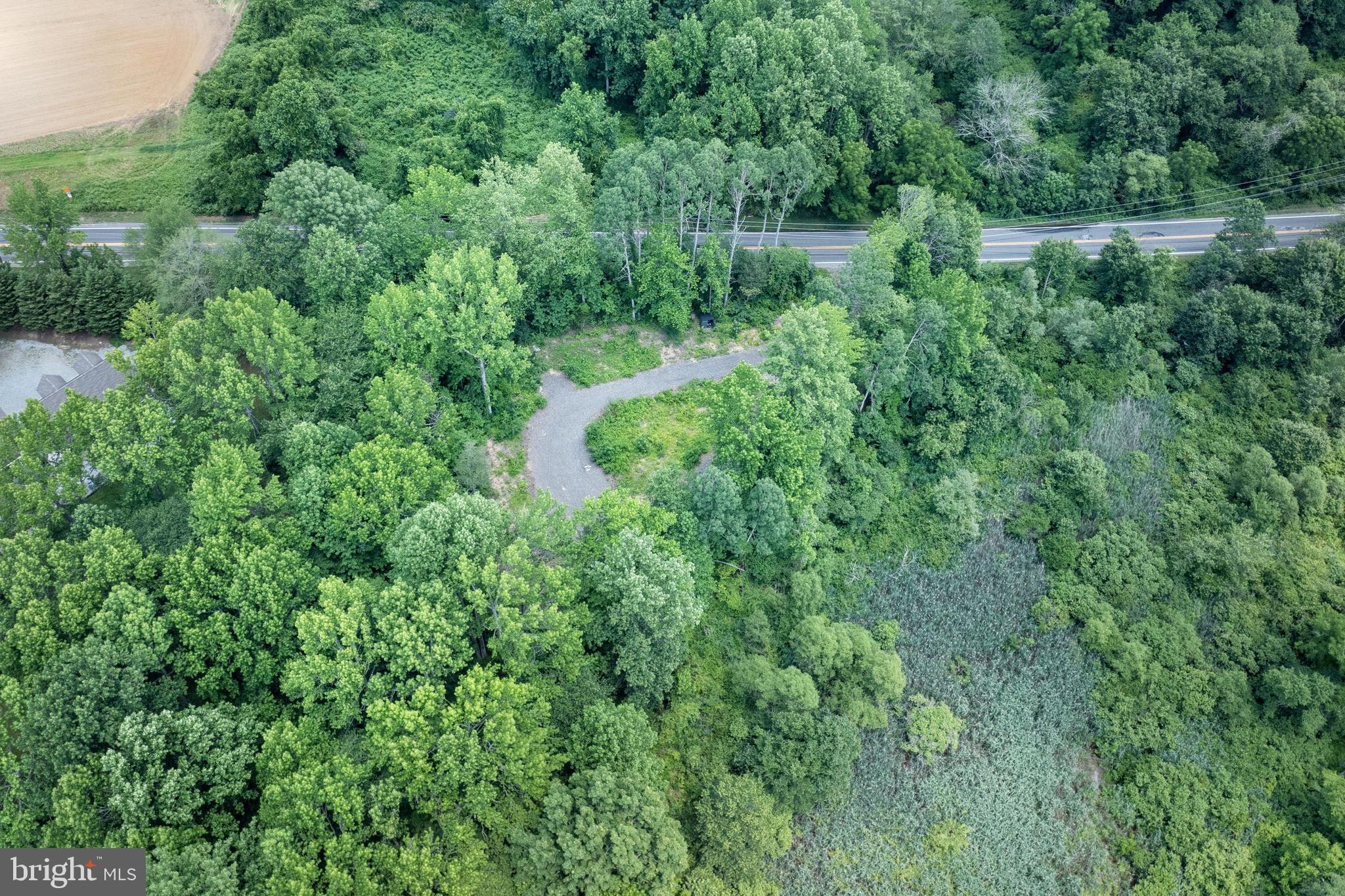 364 High Hill Road Swedesboro, NJ 08085 - Photo 2 of 6 a view of a lush green forest with lots of trees