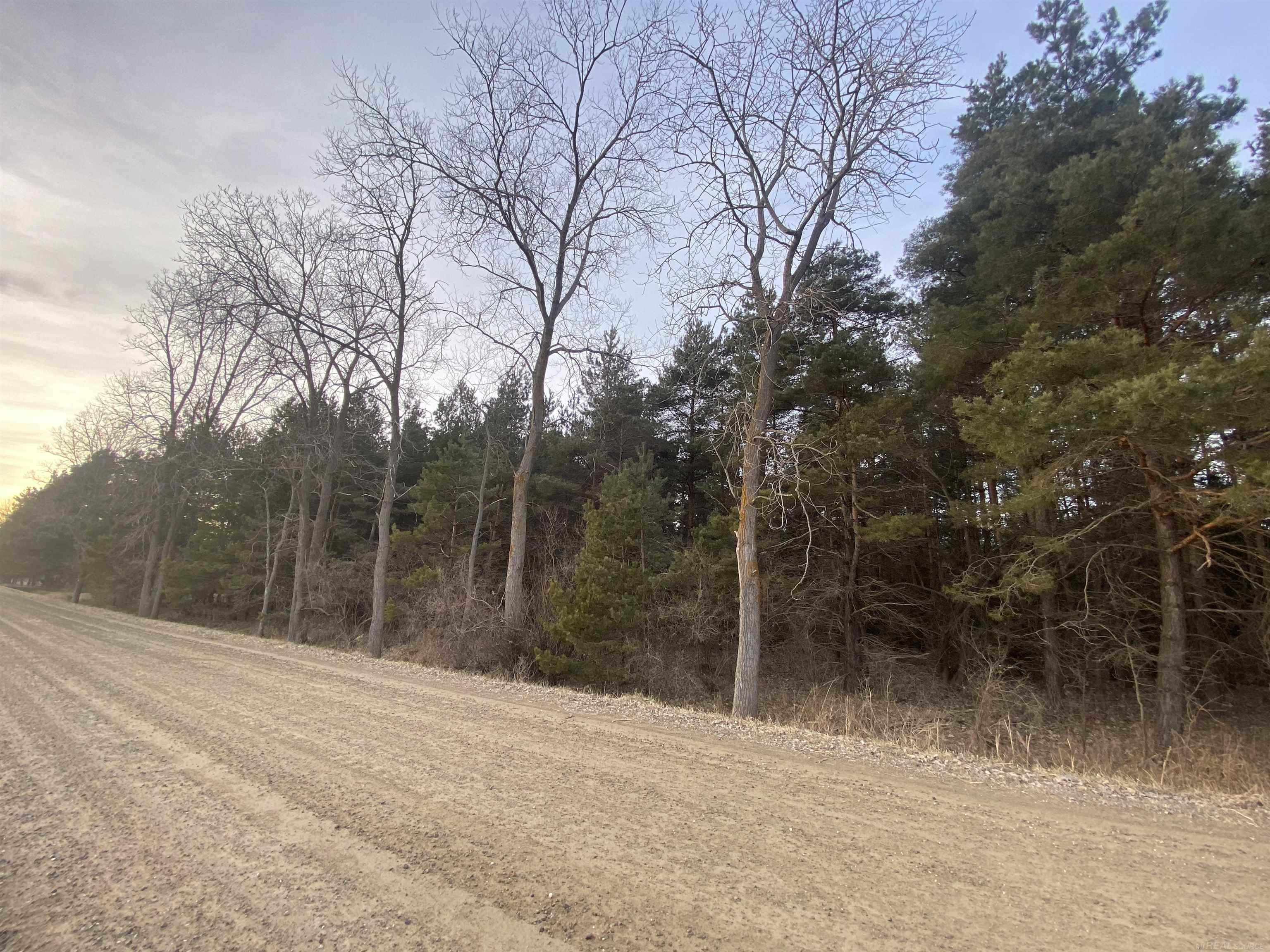 Mann Rd Port Port Sanilac, MI 48469 - Photo 10 of 20