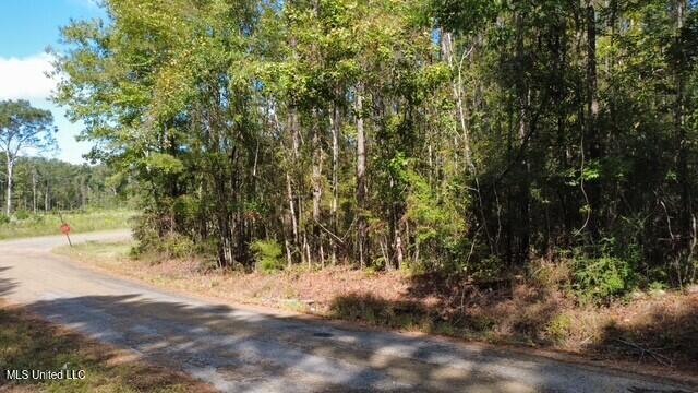 5464 A Pecan Orchard Road Liberty, MS 39645 - Photo 1 of 14 thumbnail_IMG_1542