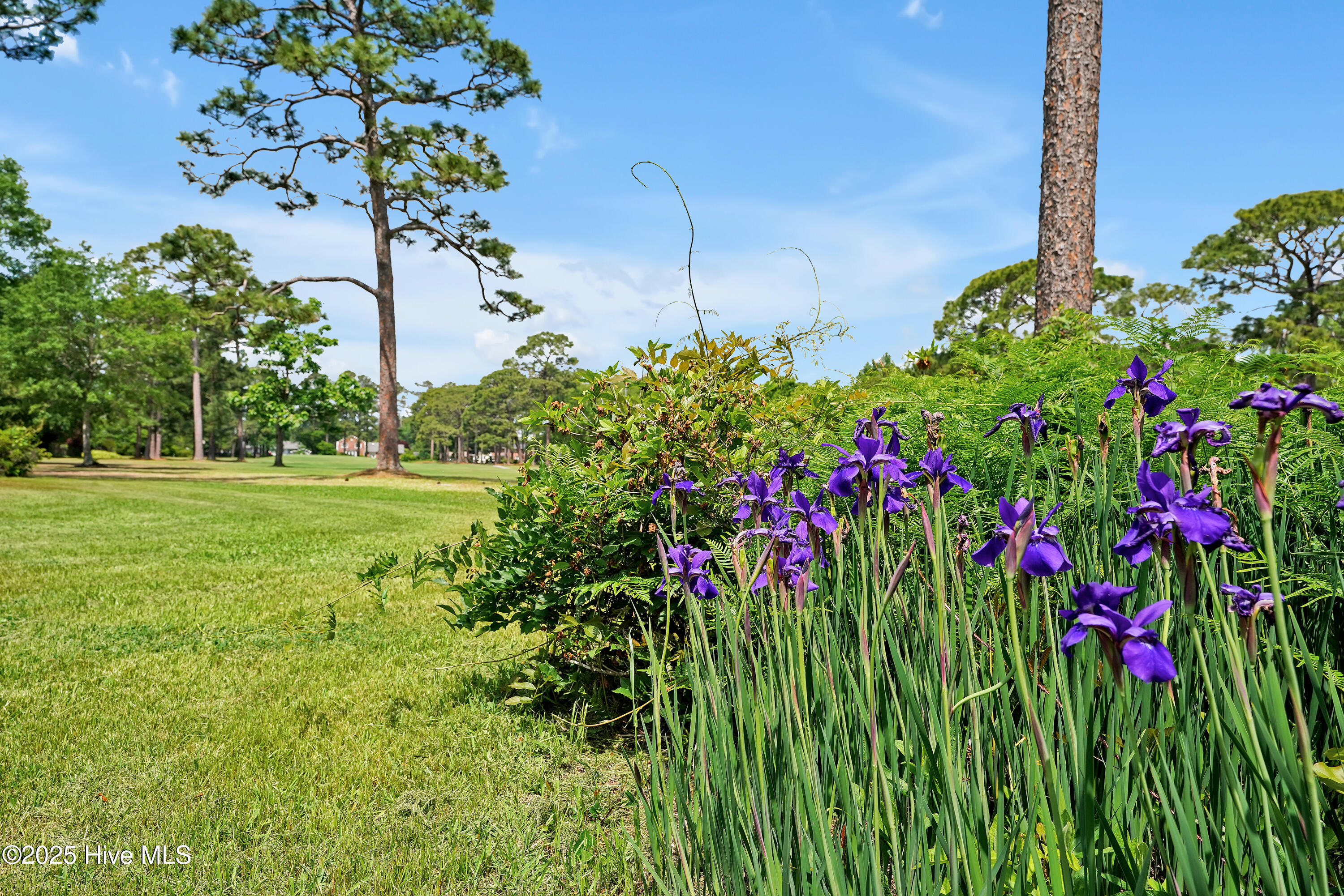 906 Robert E Lee Drive Wilmington, NC 28412 - Photo 46 of 51 906RobertELeeDrive-50