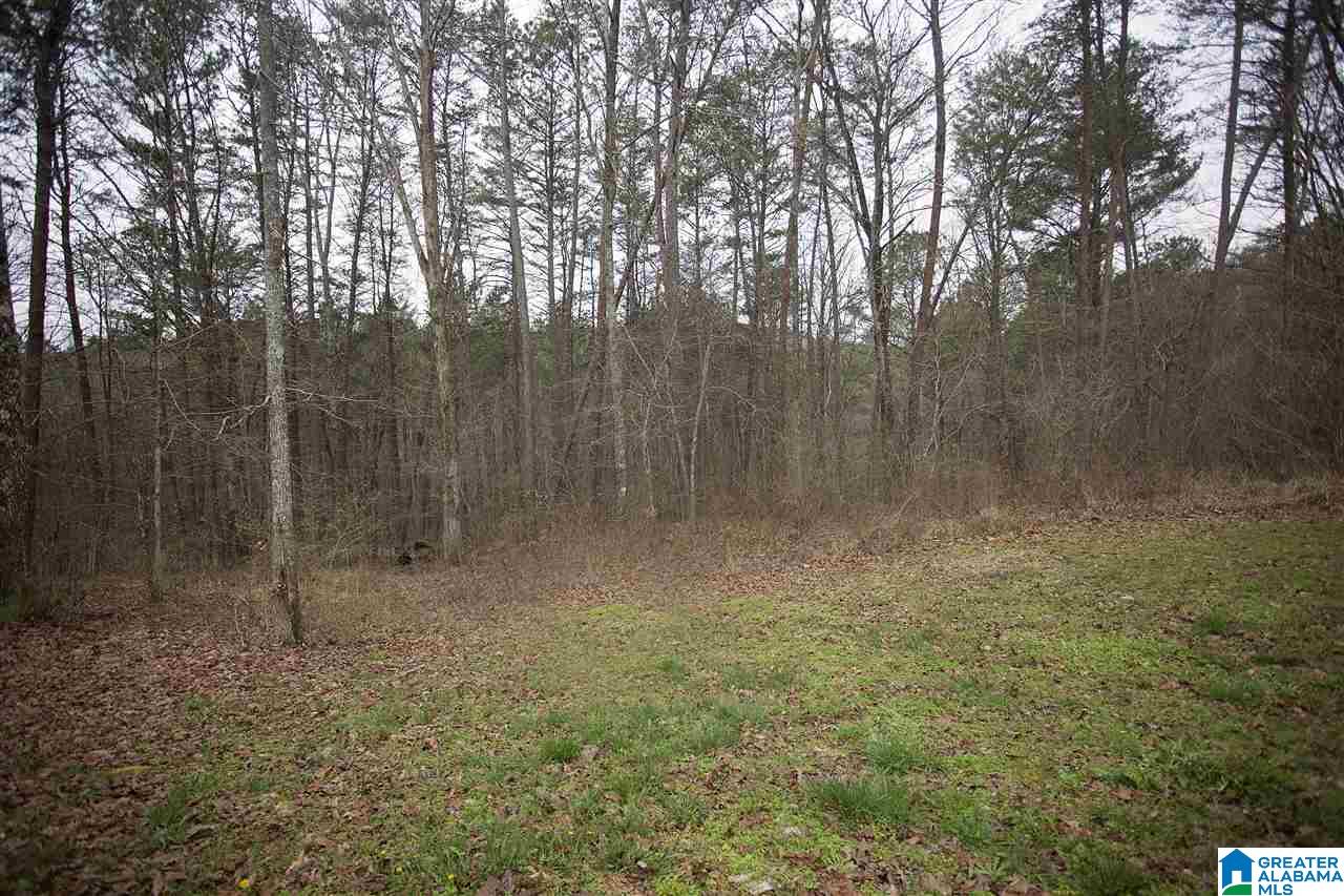 1960 Paradise Valley Road Gardendale, AL 35071 - Photo 40 of 41