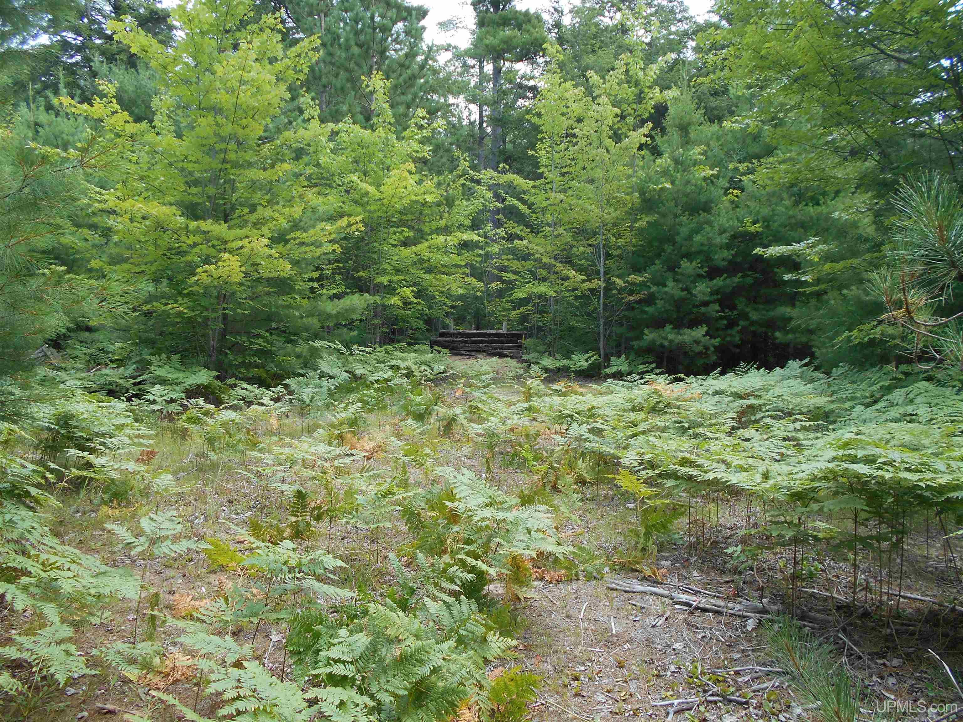 40-acres Garden Grade Road Garden, MI 49817 - Photo 43 of 51