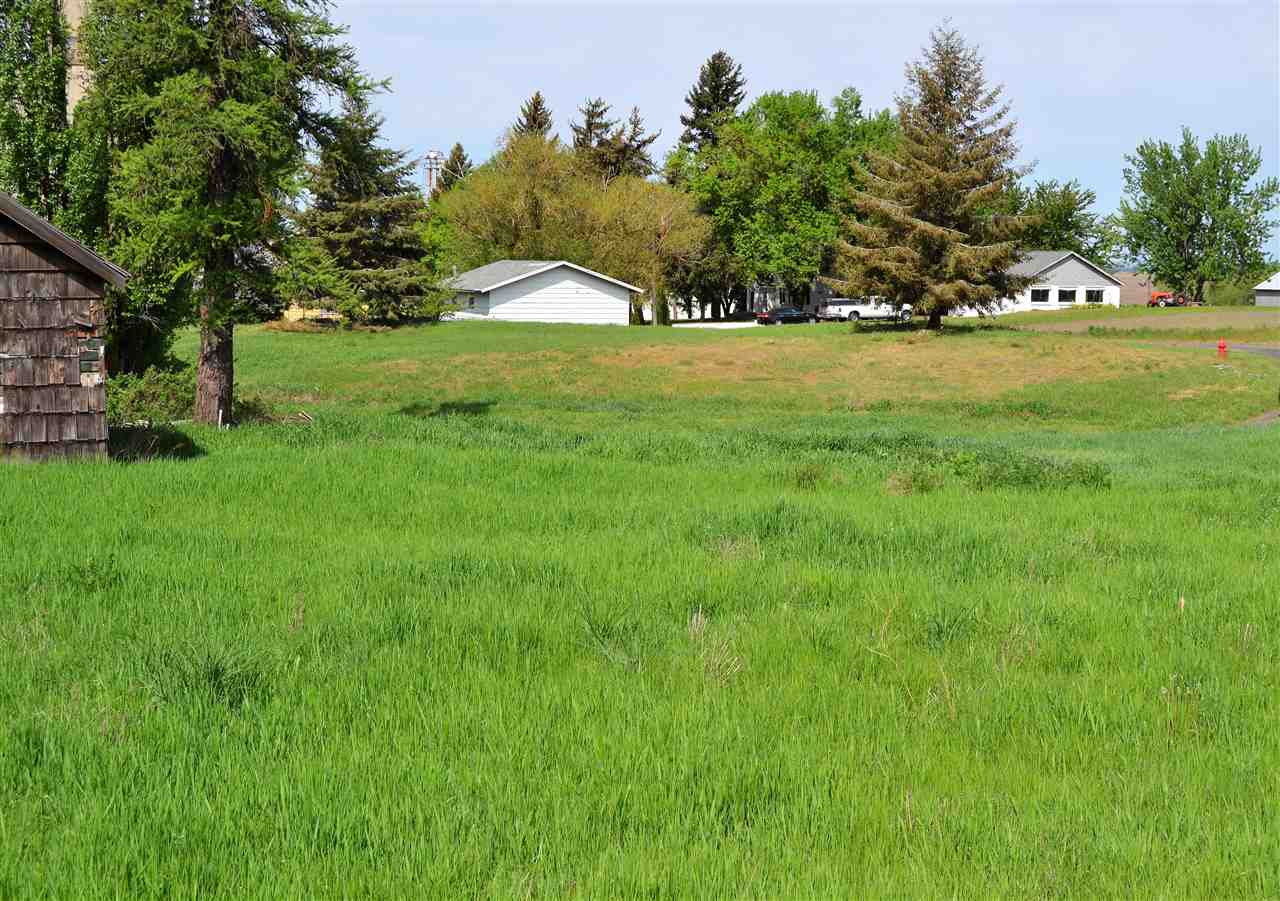 0 North Spangle Avenue Spangle, WA 99031 - Photo 4 of 7