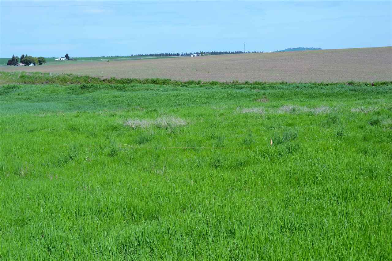0 North Spangle Avenue Spangle, WA 99031 - Photo 5 of 7