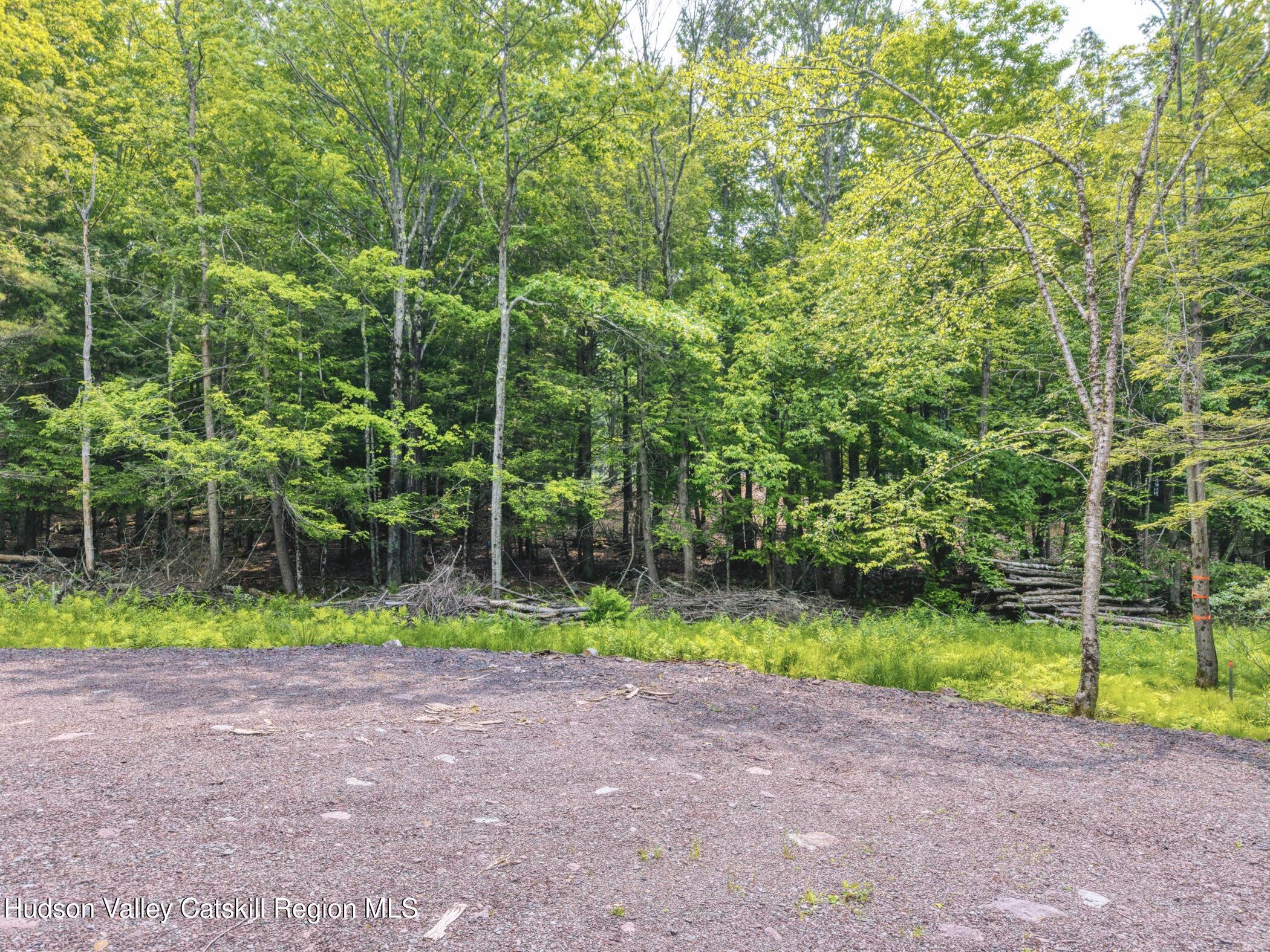 Tbd Boulder Brook Road Windham, NY 12496 - Photo 47 of 57 Image-39