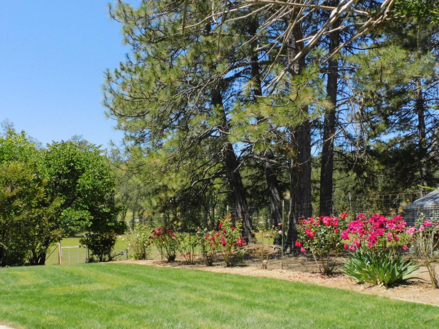 4360 Pleasant Valley Road Placerville, CA 95667 - Photo 70 of 77