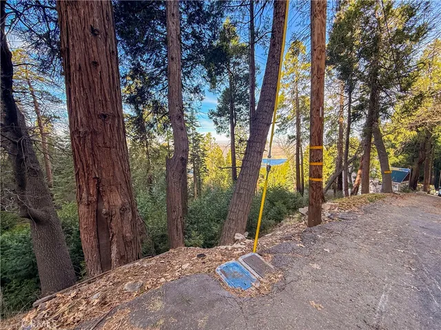 $15,000 | 21614 Canyon Vista, Crestline, CA 92322