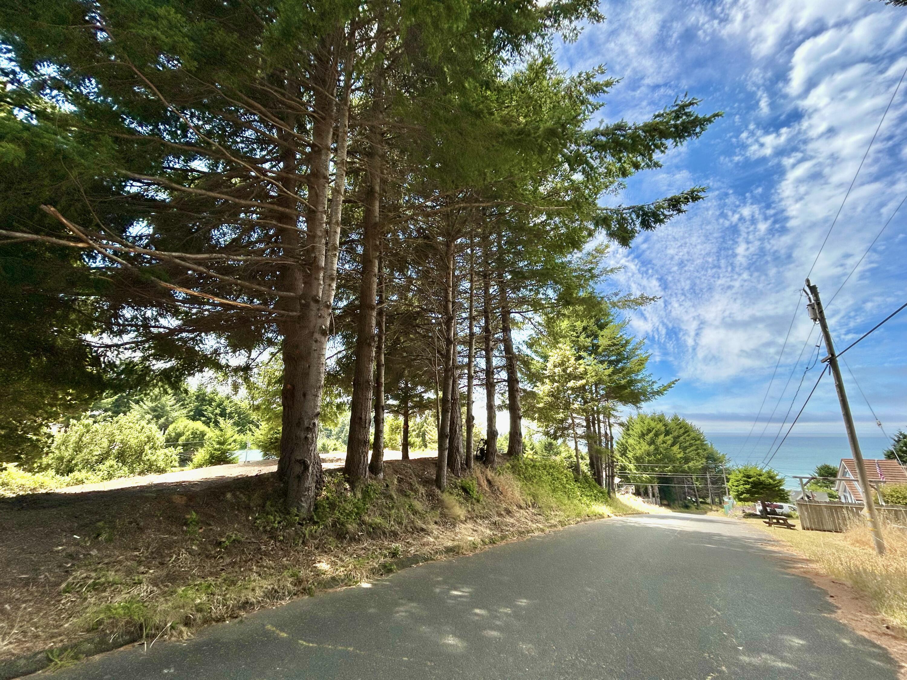 542-554 Ridge Road Shelter Cove, CA 95589 - Photo 16 of 20