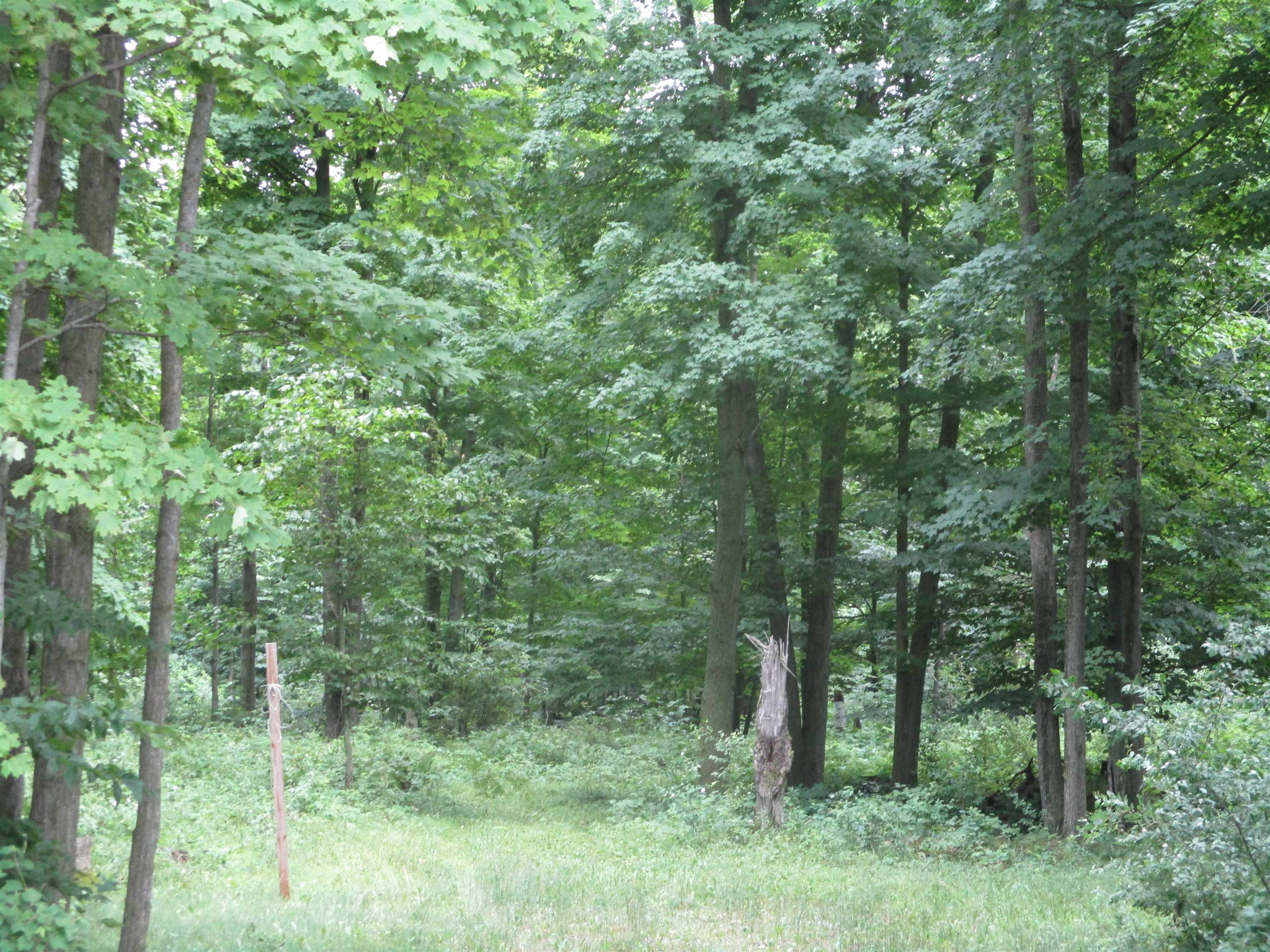 0 East Russell Lake Road Roscommon, MI 48653 - Photo 3 of 8
