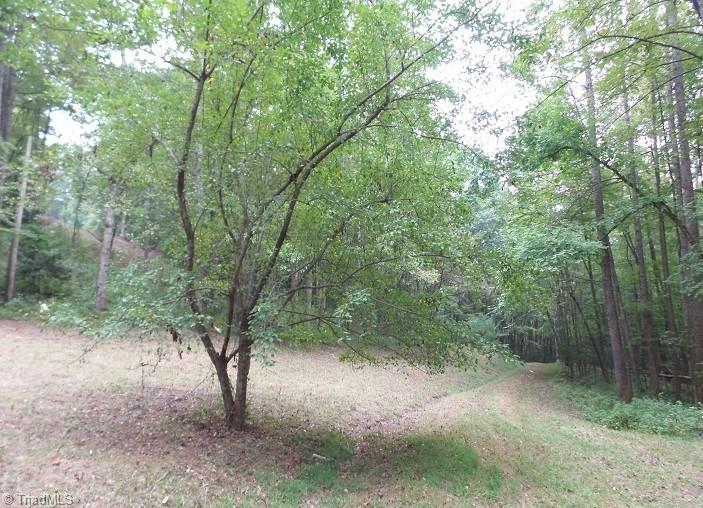 8902 Haystack Road Thurmond, NC 28683 - Photo 3 of 5 Gallery Image 3