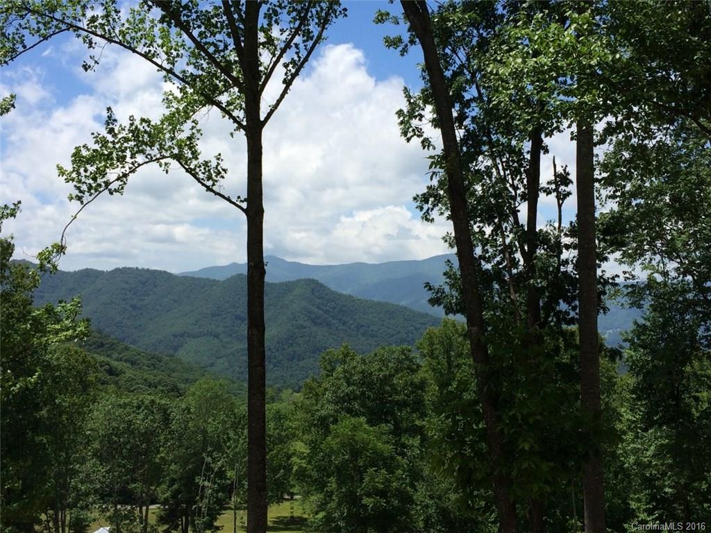 797 St Andrews Road Waynesville, NC 28786 - Photo 3 of 23 Gallery Image 3