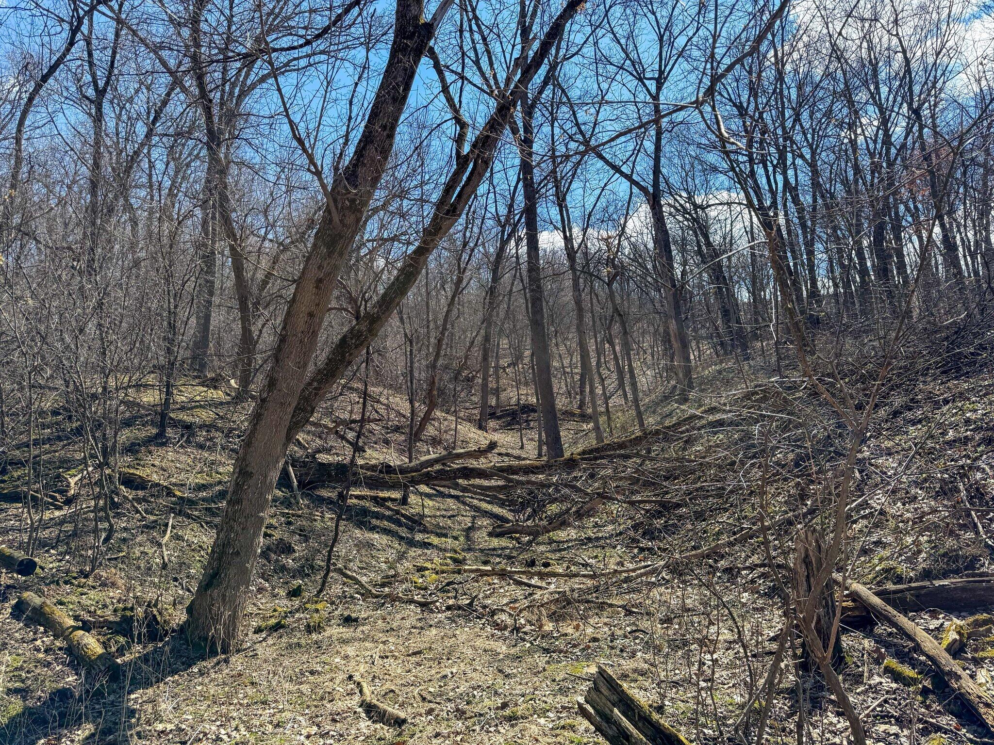 0 Schilling Road Onalaska, WI 54650 - Photo 4 of 8 Land