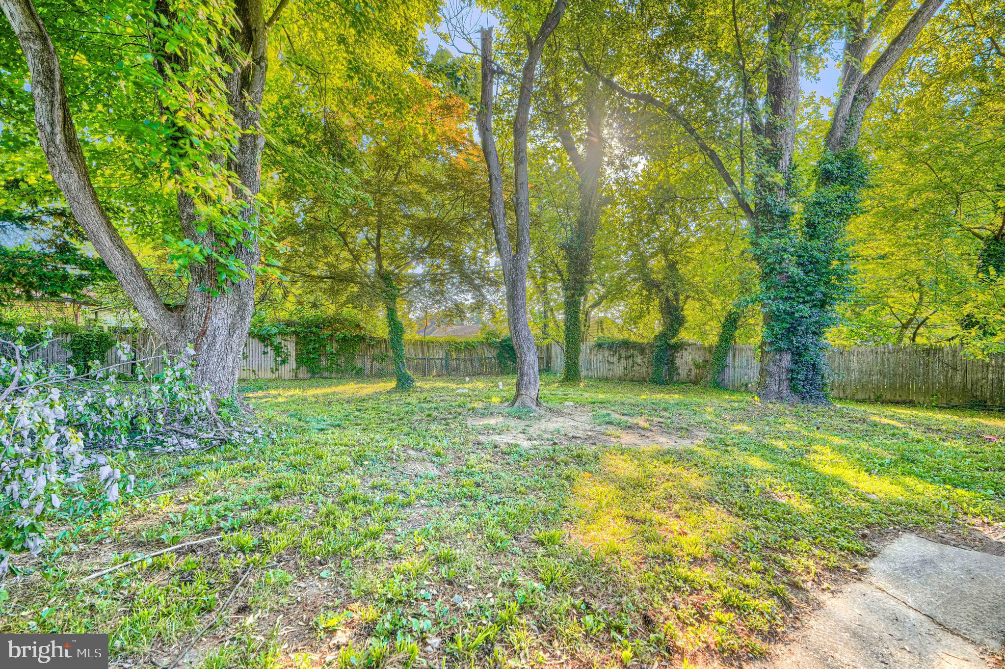 9706 Liberty Road Randallstown, MD 21133 - Photo 5 of 43 a view of a yard with trees