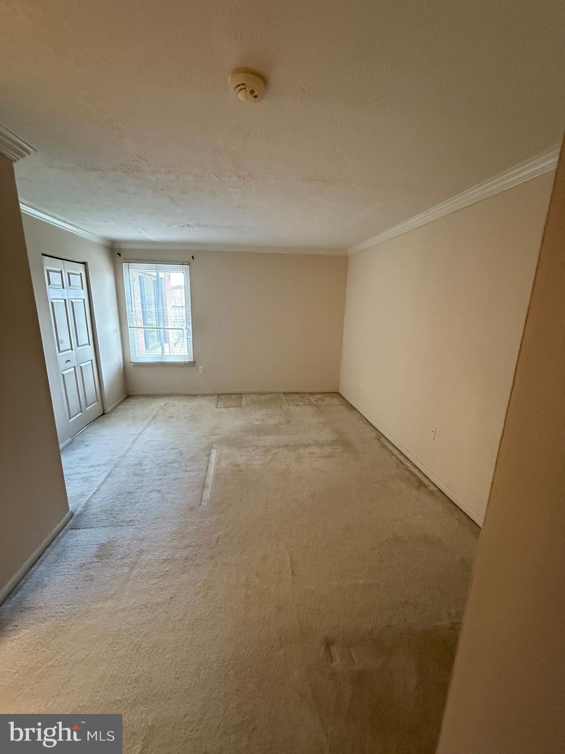 7919 Mandan Road, Unit 301 Greenbelt, MD 20770 - Photo 8 of 10 Primary Bedroom