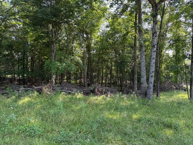 0 Roy Foster Road Smithville, TN 37166 - Photo 11 of 12 Gallery Image 11