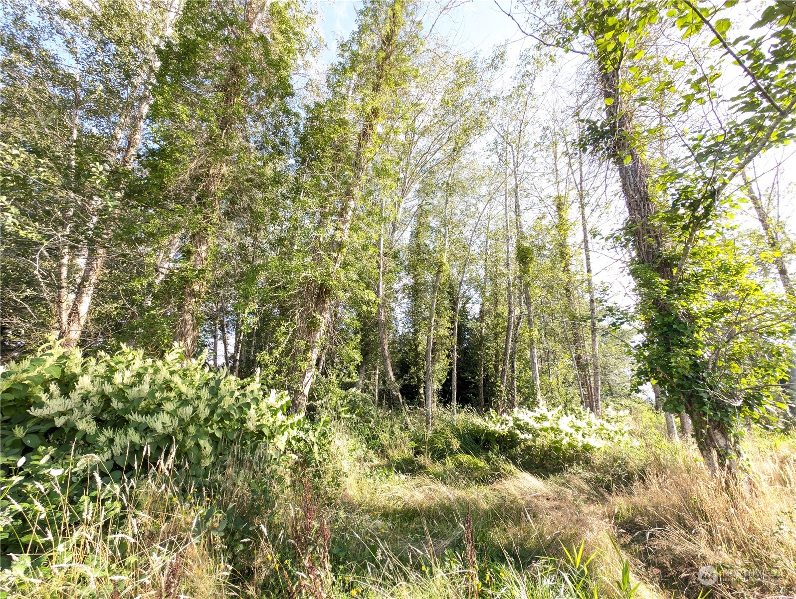 6813 River Road Aberdeen, WA 98520 - Photo 20 of 23 Gallery Image 20