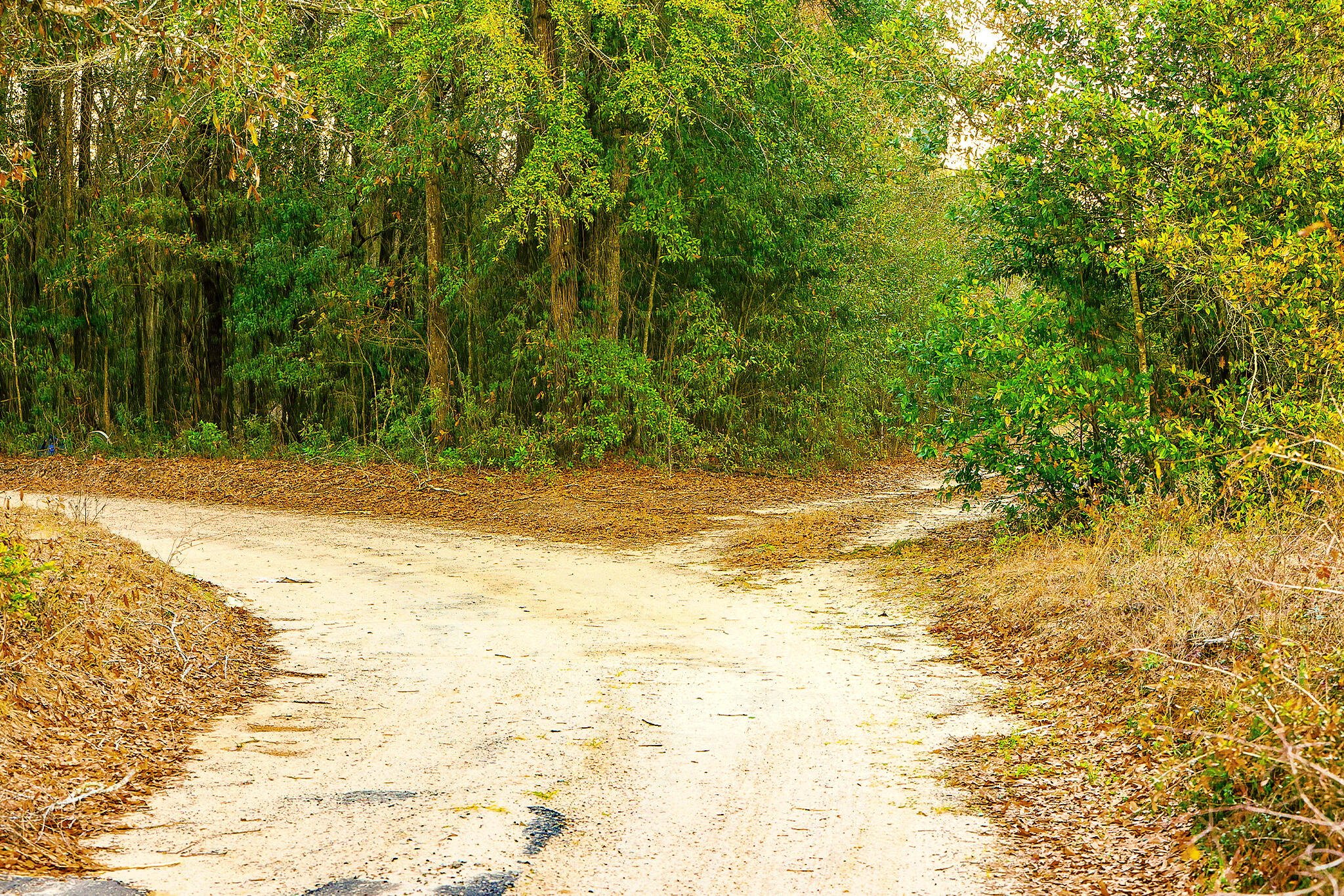 5 Festival Trail Road Salley, SC 29137 - Photo 2 of 12