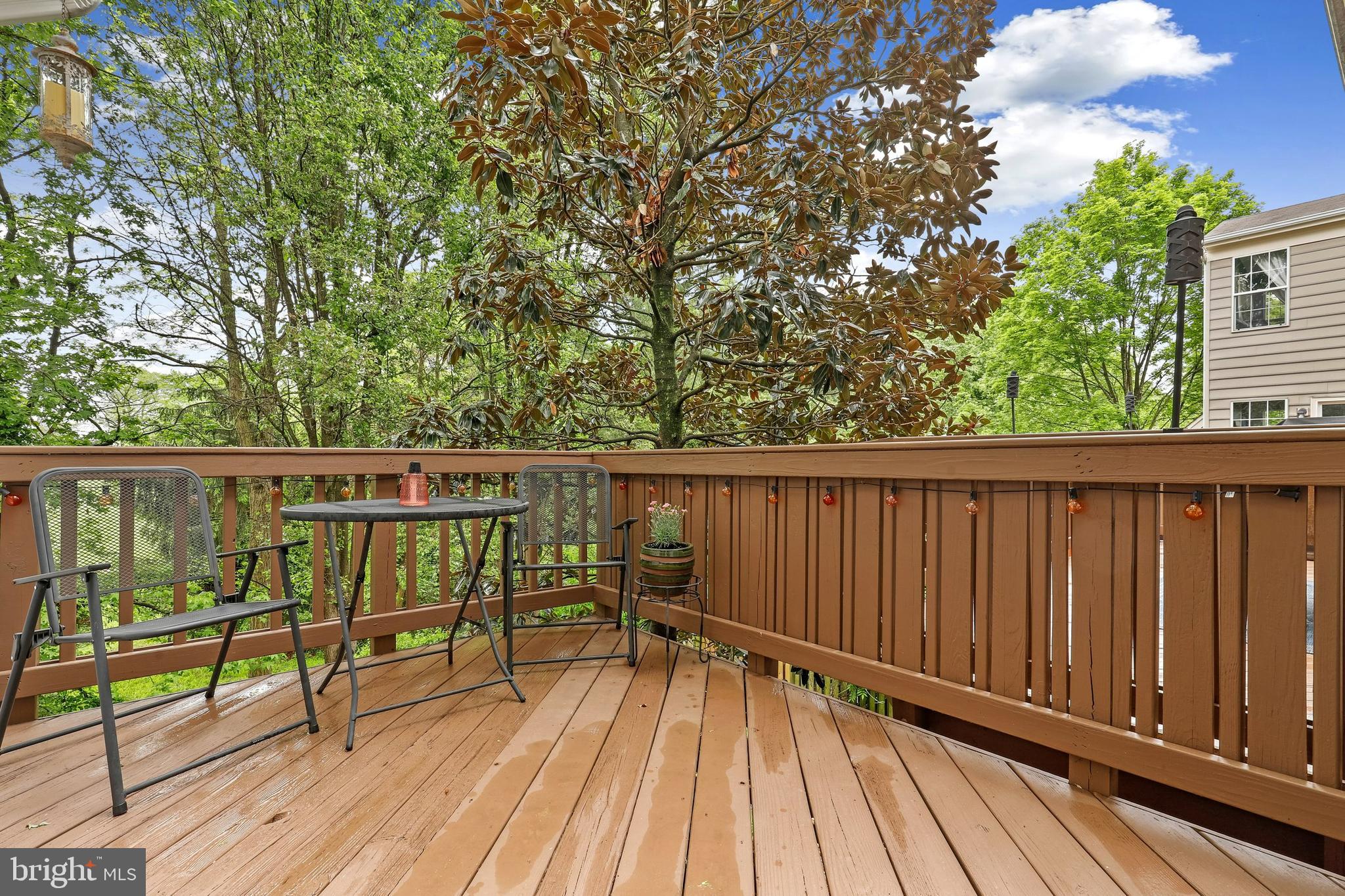 206 Connery Terrace Southwest Leesburg, VA 20175 - Photo 31 of 38