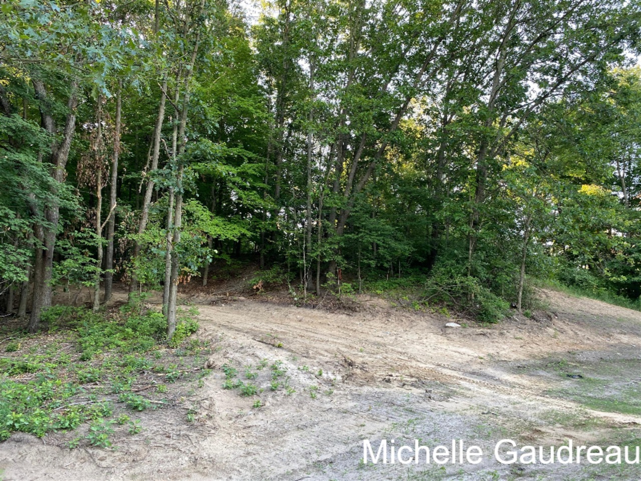 North N Ridge, Unit PARCEL 9 Middleville, MI 49333 - Photo 2 of 4