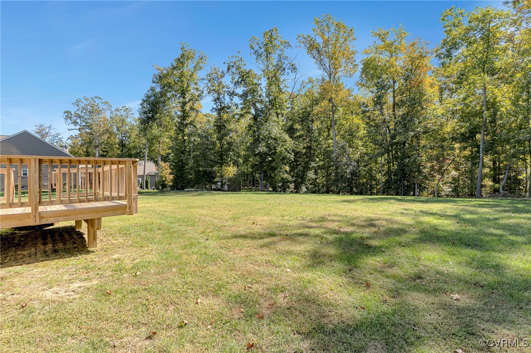 14112 Rockyrun Road Chesterfield, VA 23838 - Photo 47 of 50 Gallery Image 47