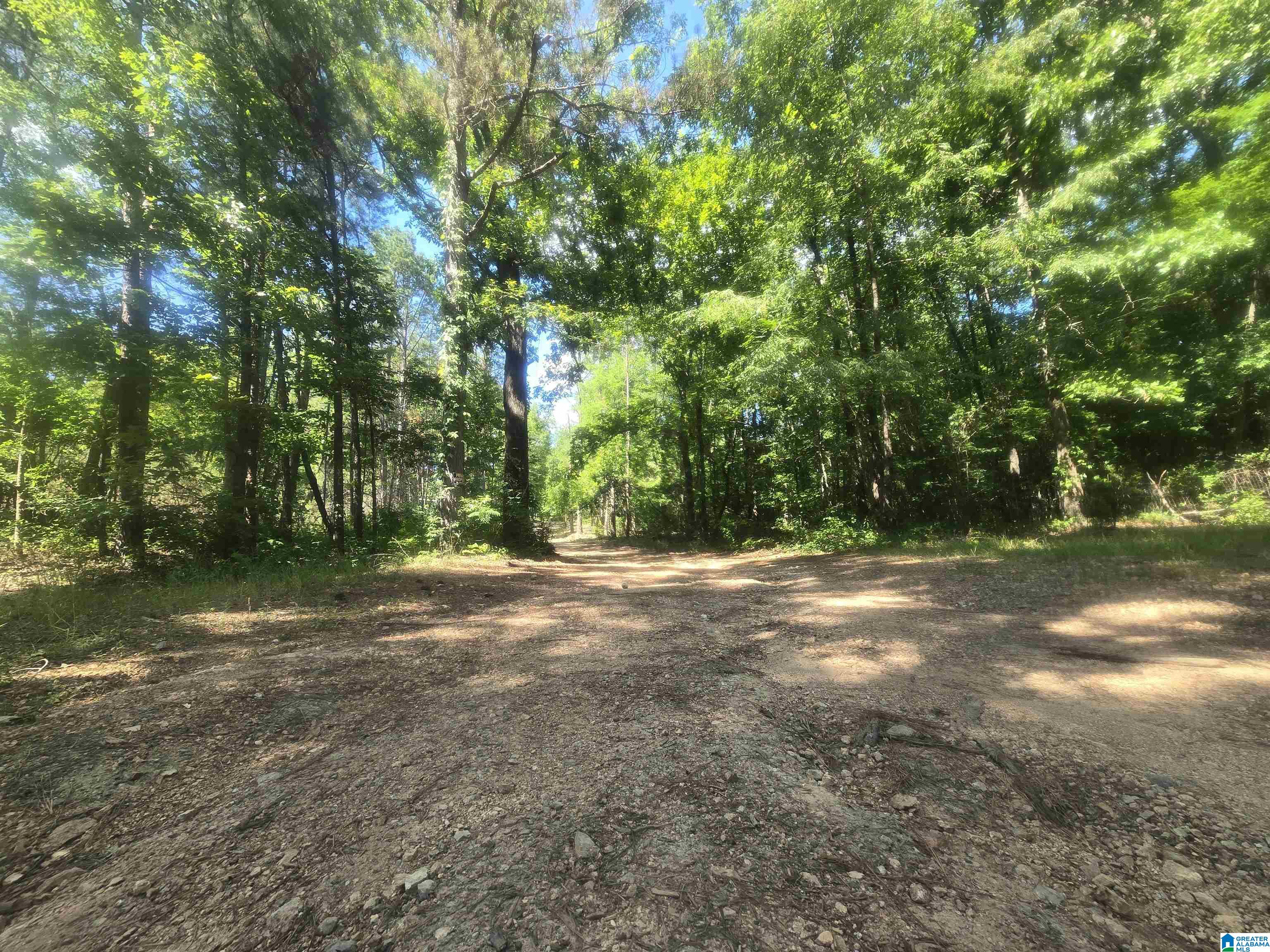 135 Big Chef Road Ohatchee, AL 36271 - Photo 1 of 27