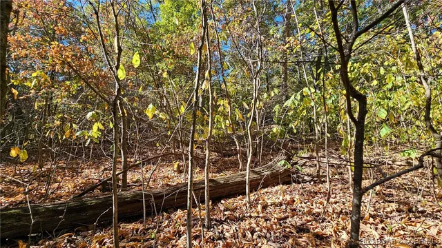 $28,000 | Lot #1403 A Via, Sunrise Beach, MO 65079