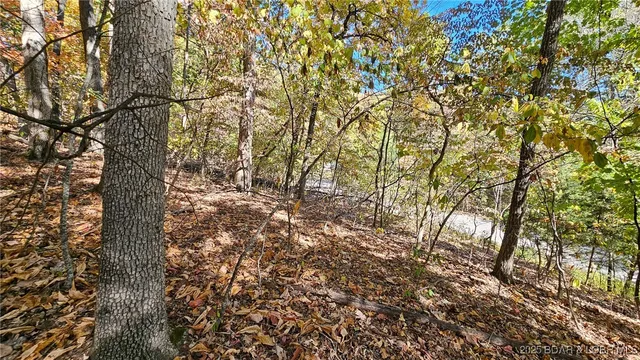 $28,000 | Lot #1403 A Via, Sunrise Beach, MO 65079