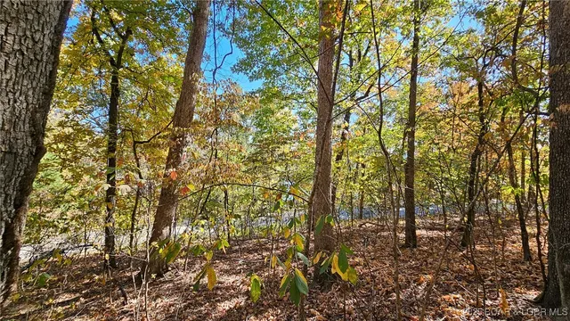 $28,000 | Lot #1403 A Via, Sunrise Beach, MO 65079