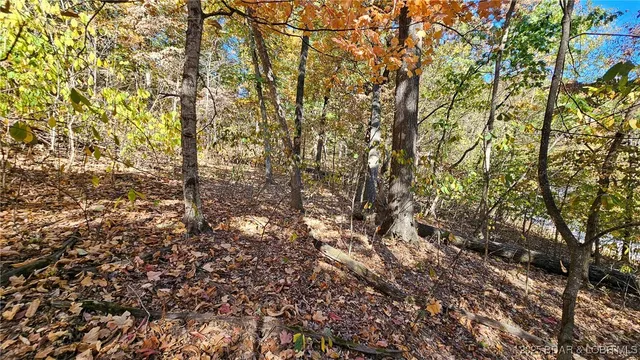 $28,000 | Lot #1403 A Via, Sunrise Beach, MO 65079