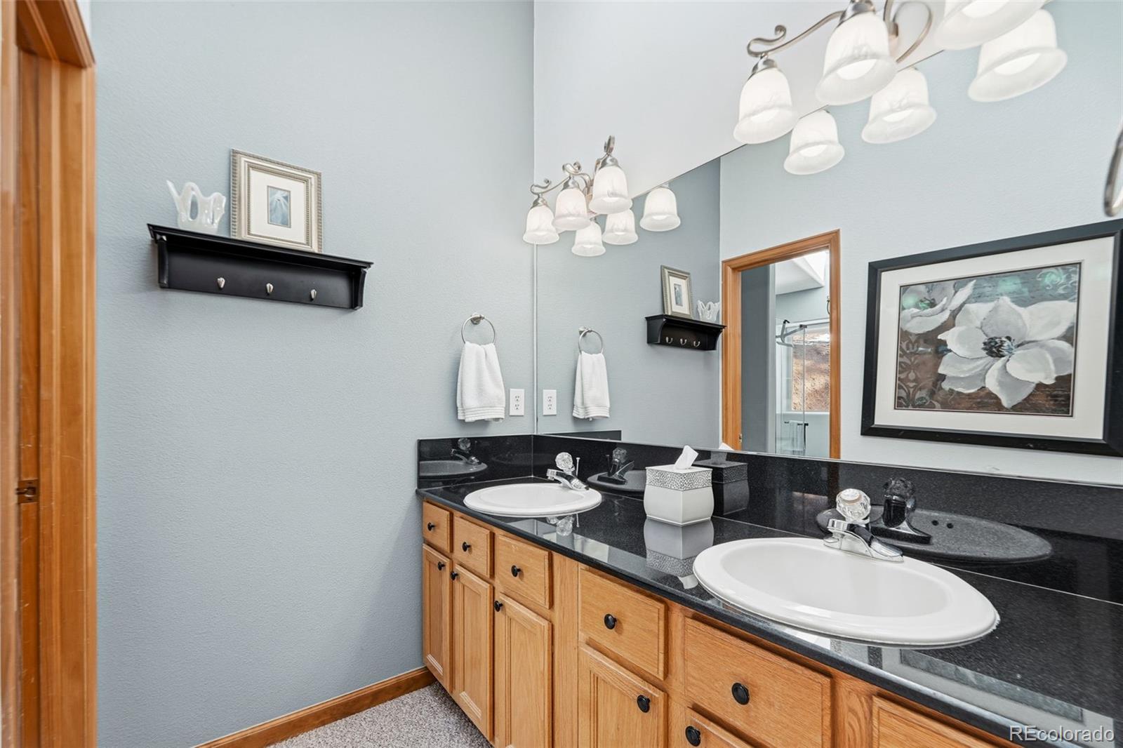 610 Gold Flake Terrace Bailey, CO 80421 - Photo 17 of 33