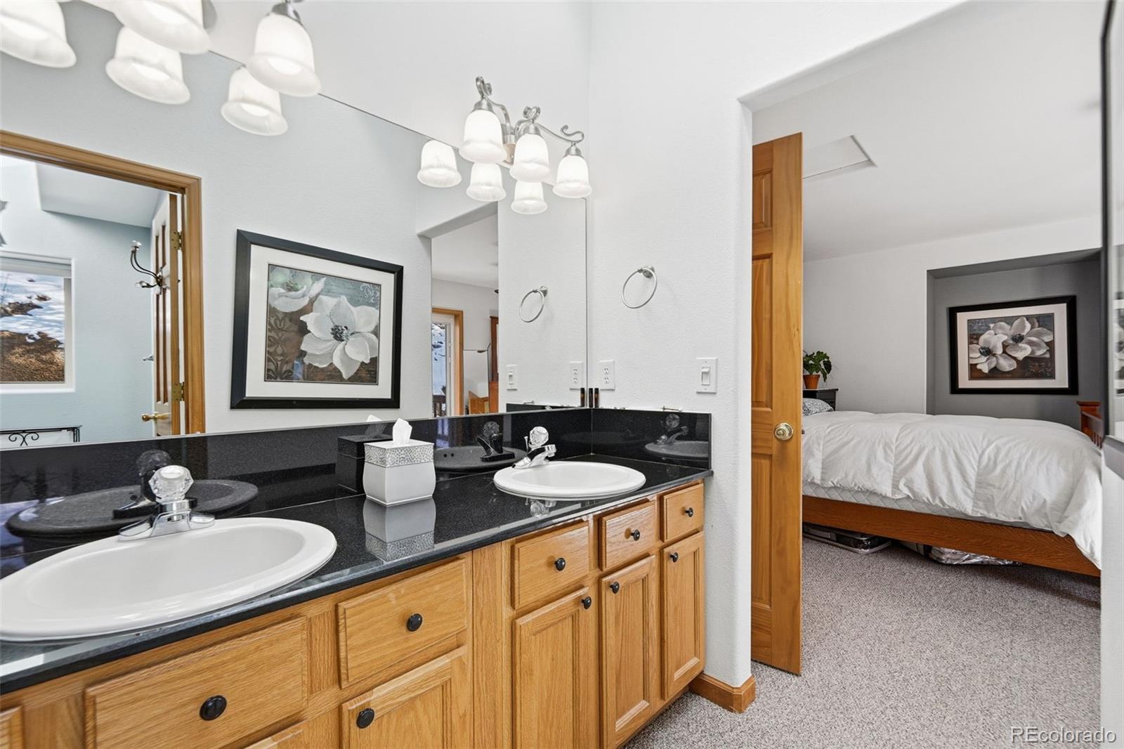 610 Gold Flake Terrace Bailey, CO 80421 - Photo 19 of 33