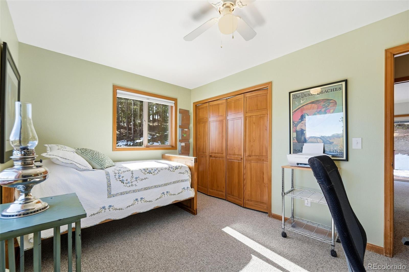 610 Gold Flake Terrace Bailey, CO 80421 - Photo 22 of 33