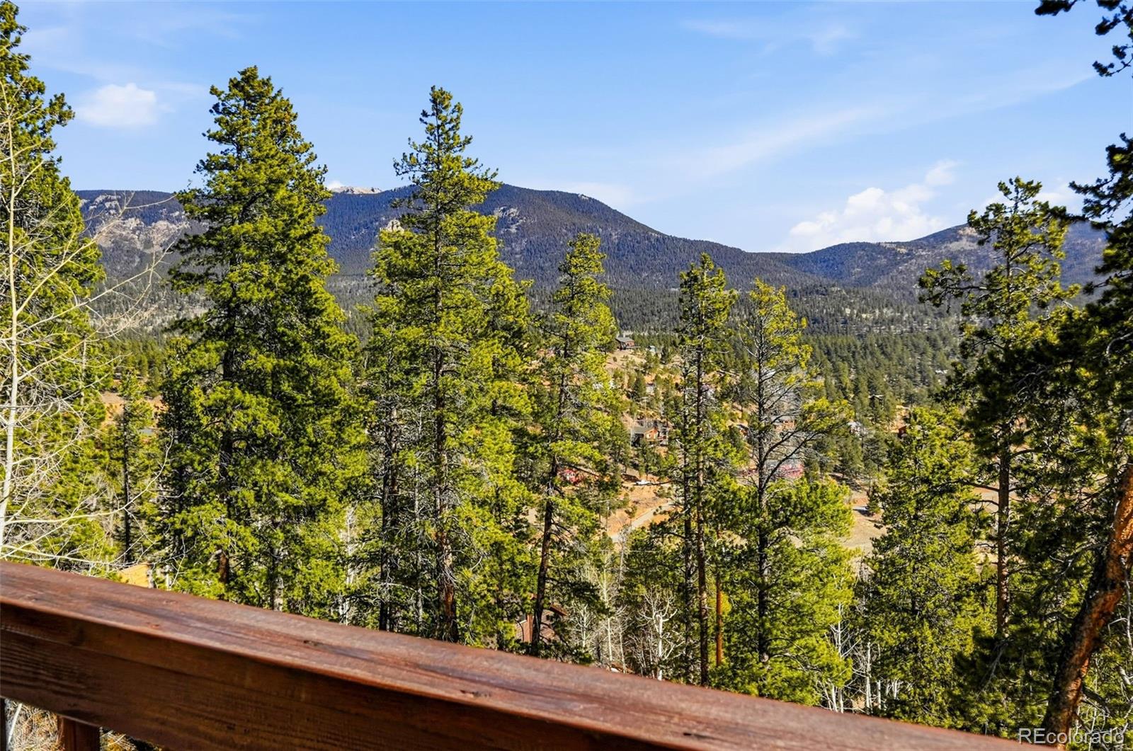 610 Gold Flake Terrace Bailey, CO 80421 - Photo 30 of 33