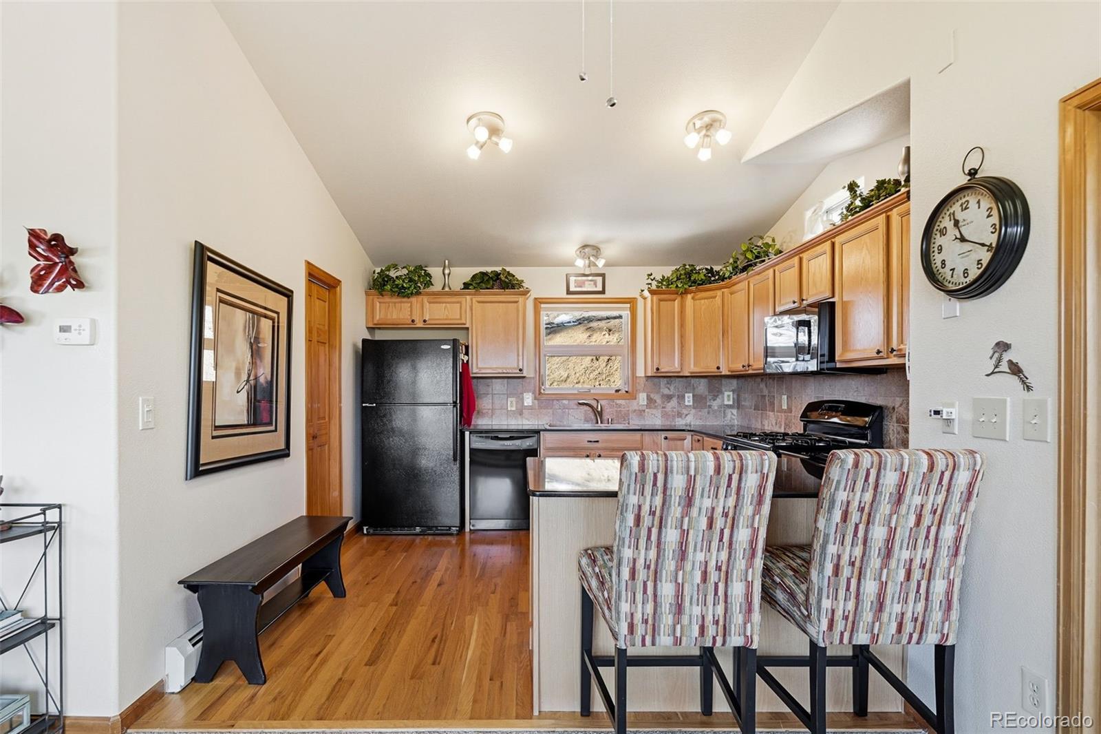 610 Gold Flake Terrace Bailey, CO 80421 - Photo 10 of 33