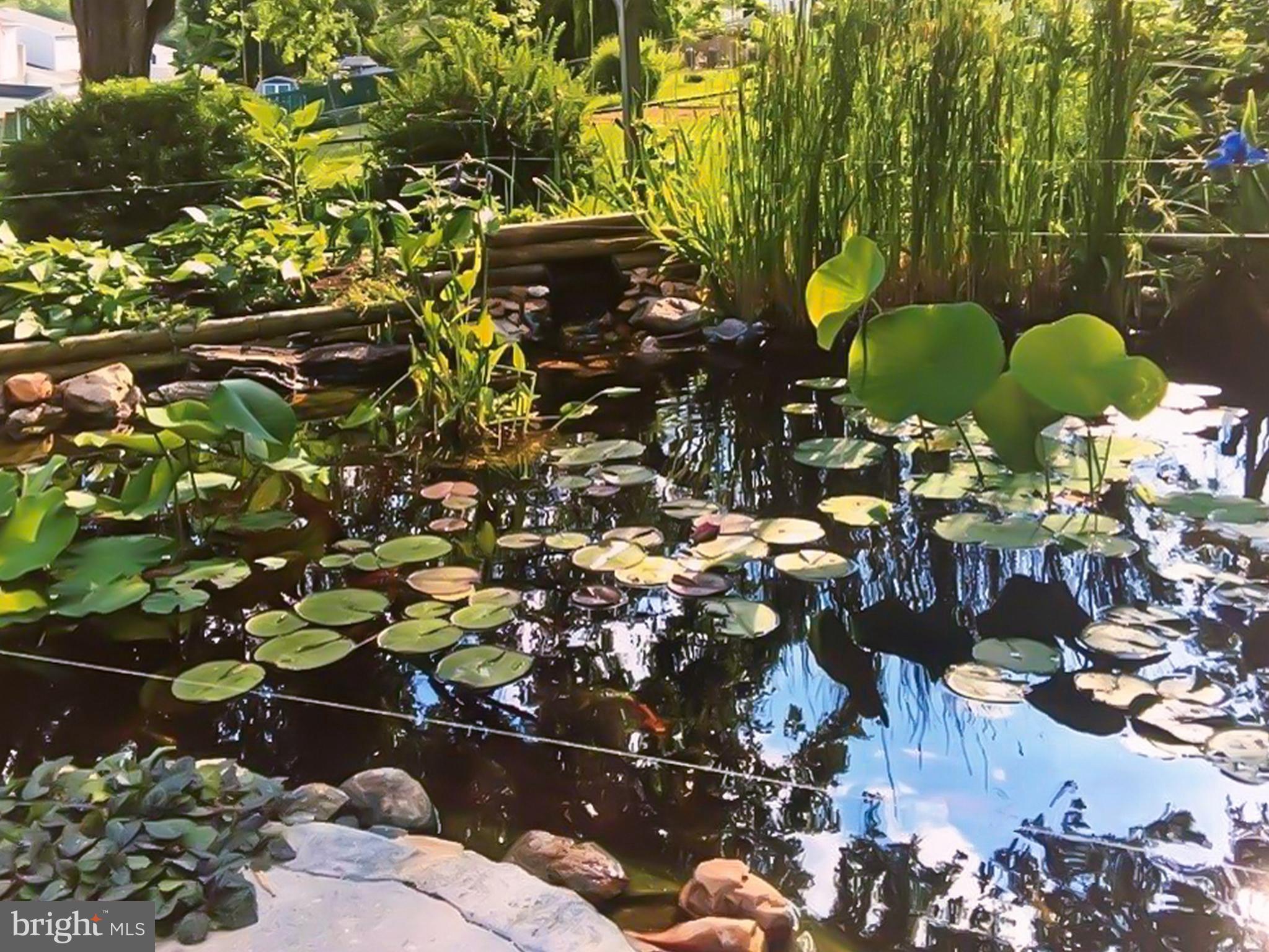 515 Defoe Road Hockessin, DE 19707 - Photo 36 of 40 Summer view of Koi Pond