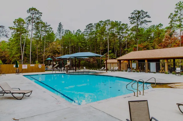 a view of a yard with large trees