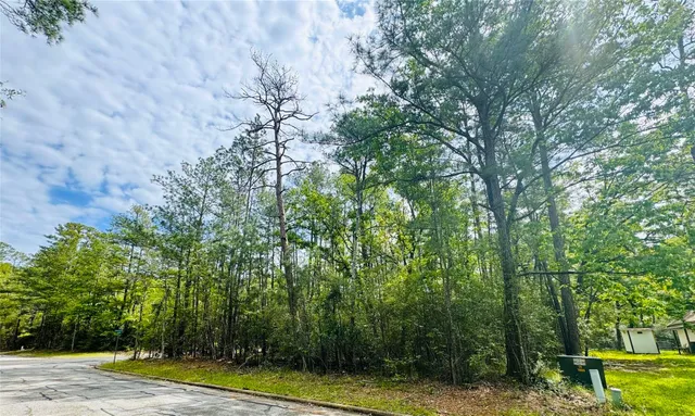a view of a lake with a house in the background
