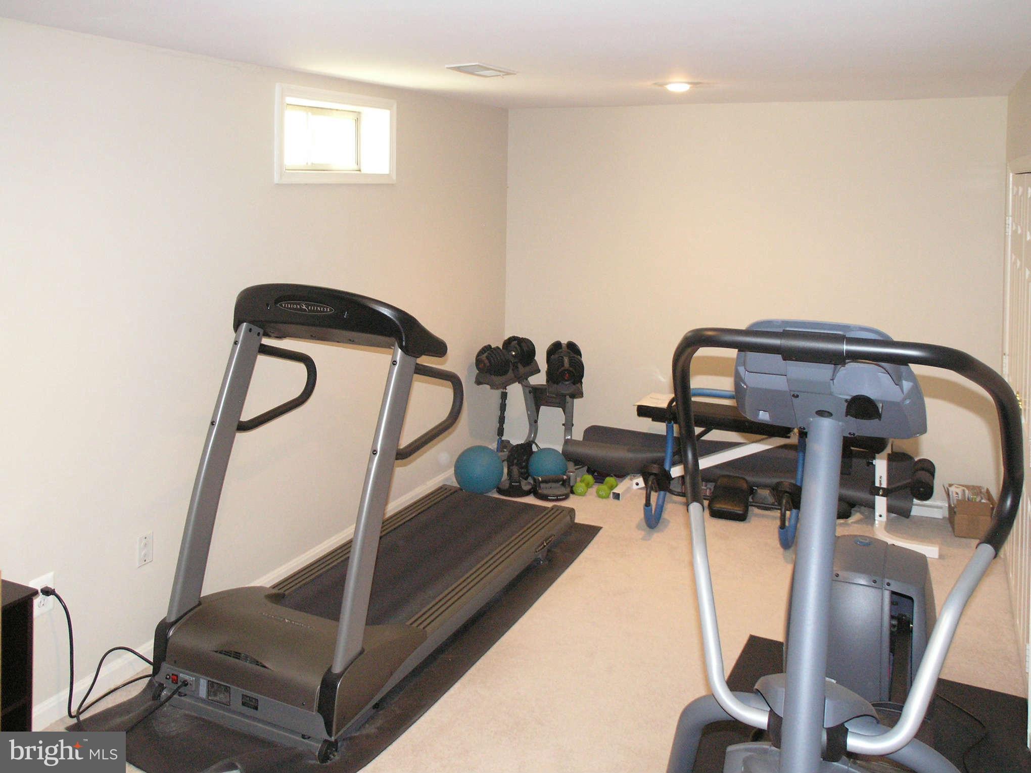 1253 Lamplighter Way Reston, VA 20194 - Photo 22 of 28 Den - Exercise Room