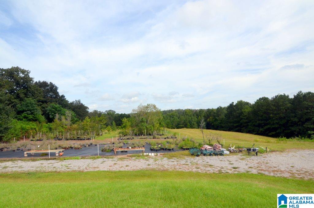 1155 Walkers Crossing Road Pell City, AL 35128 - Photo 9 of 37