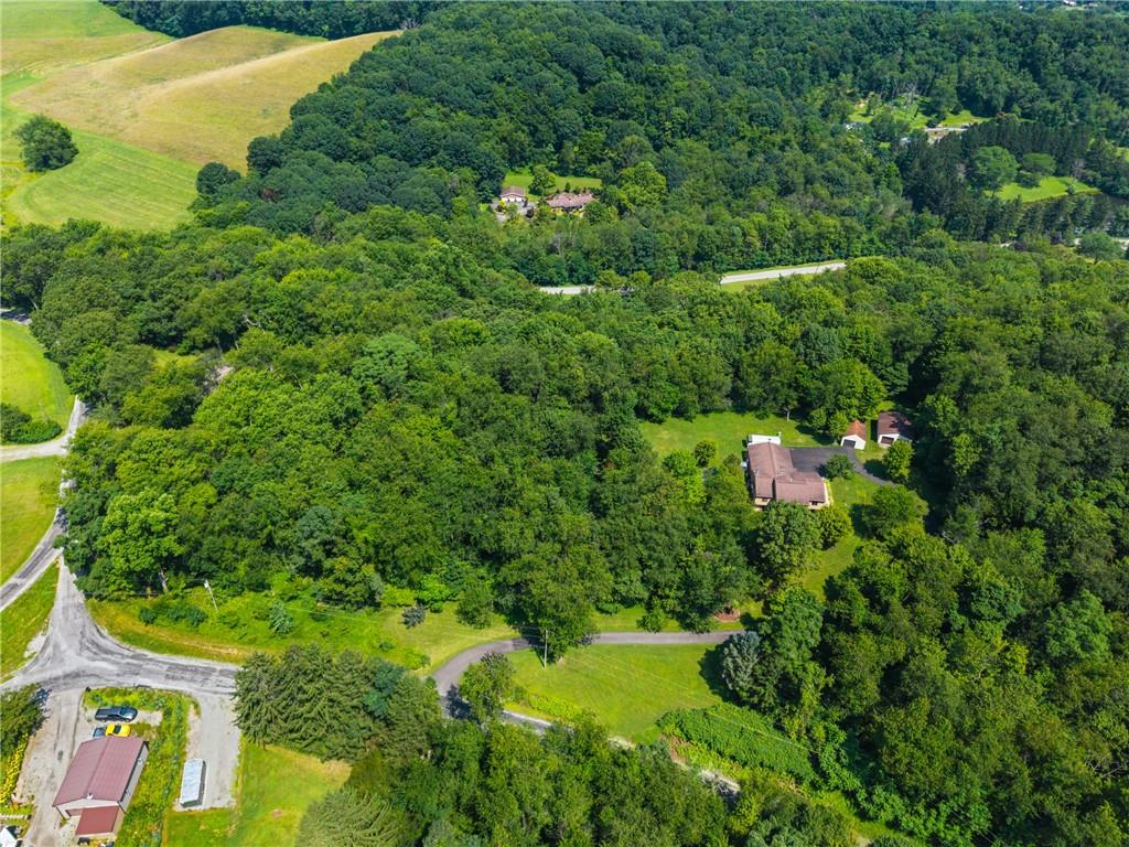 987 Beck Road Leechburg, PA 15656 - Photo 31 of 35 a view of a bunch of trees and bushes