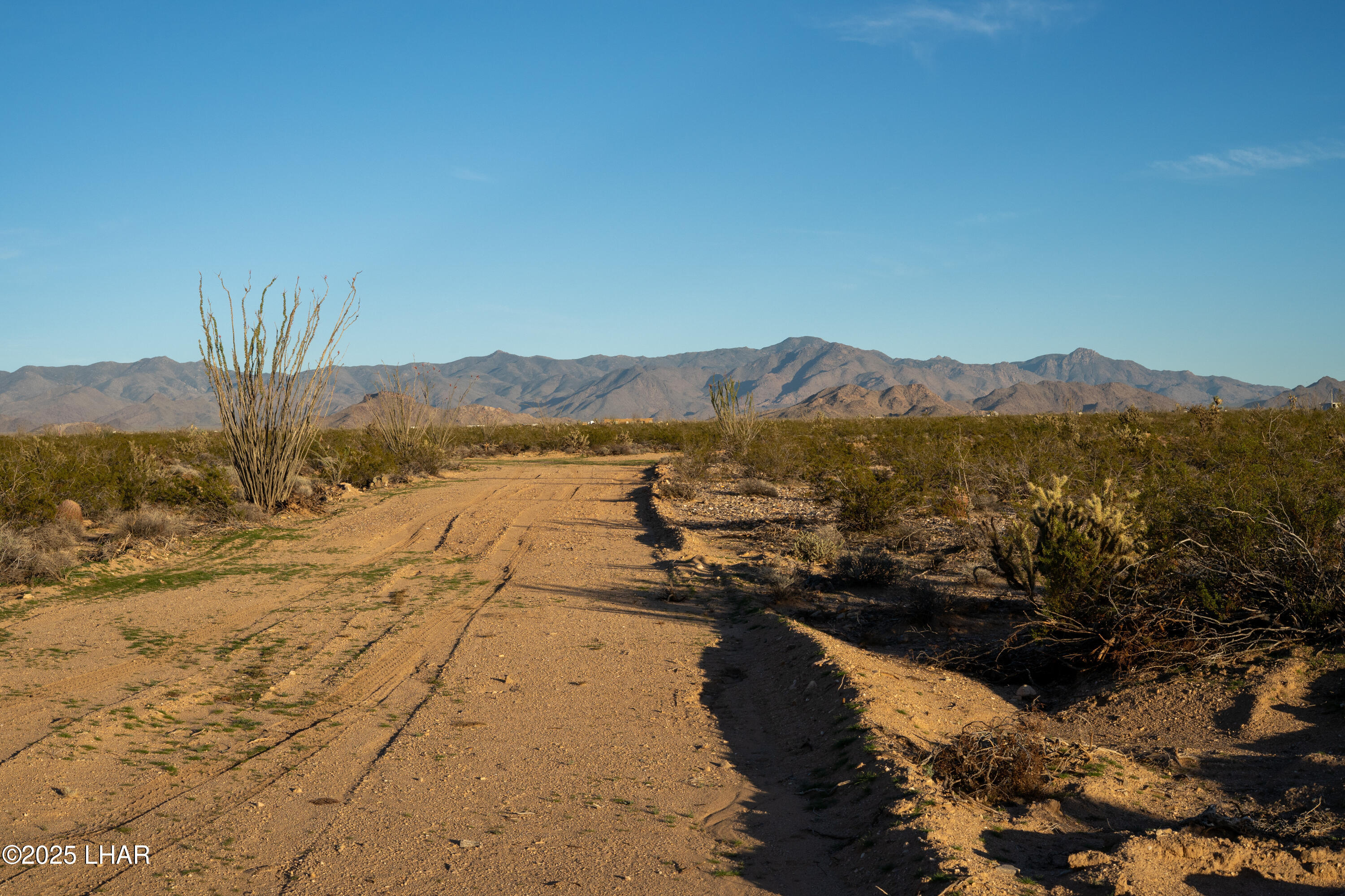 Lot 29 South Carmen Road Yucca, AZ 86438 - Photo 3 of 22 a view of lake and mountain