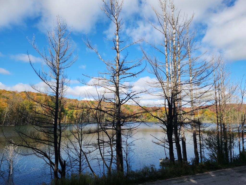 Waterfront Parmater Road Gaylord, MI 49735 - Photo 1 of 11