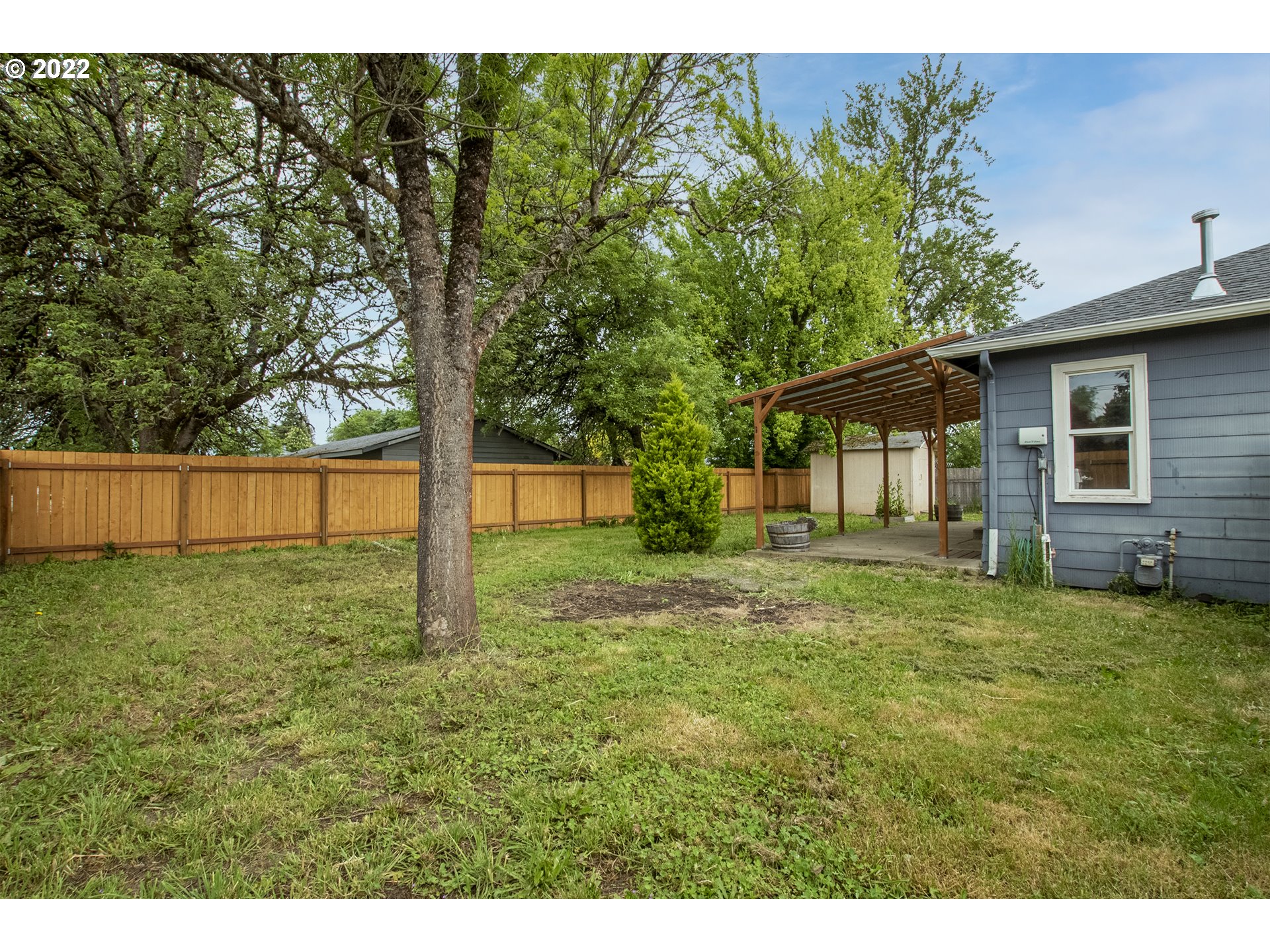 388 South 46th Street Springfield, OR 97478 - Photo 19 of 22 a backyard of a house with lots of green space