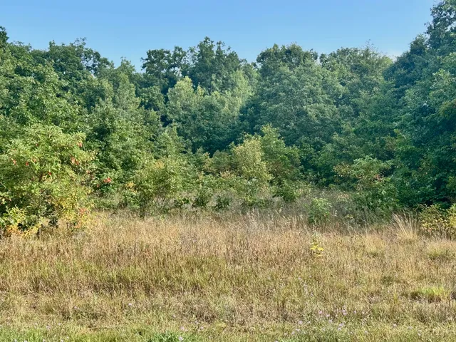 $55,900 | 9554 Highway 10, Branch, MI 49402