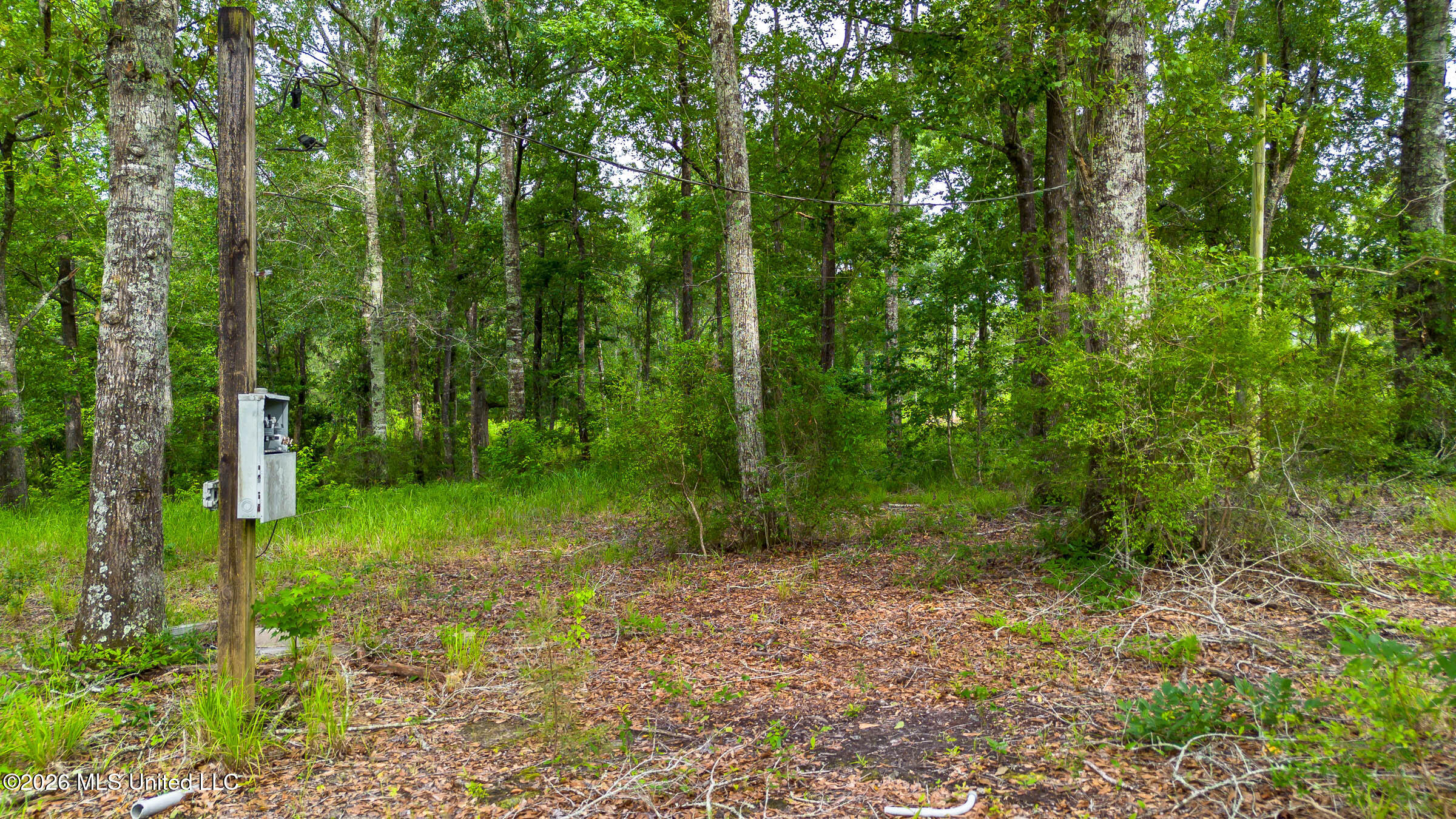 17465 Nobles Road Saucier, MS 39574 - Photo 17 of 19 17465 Nobles Rd (17)