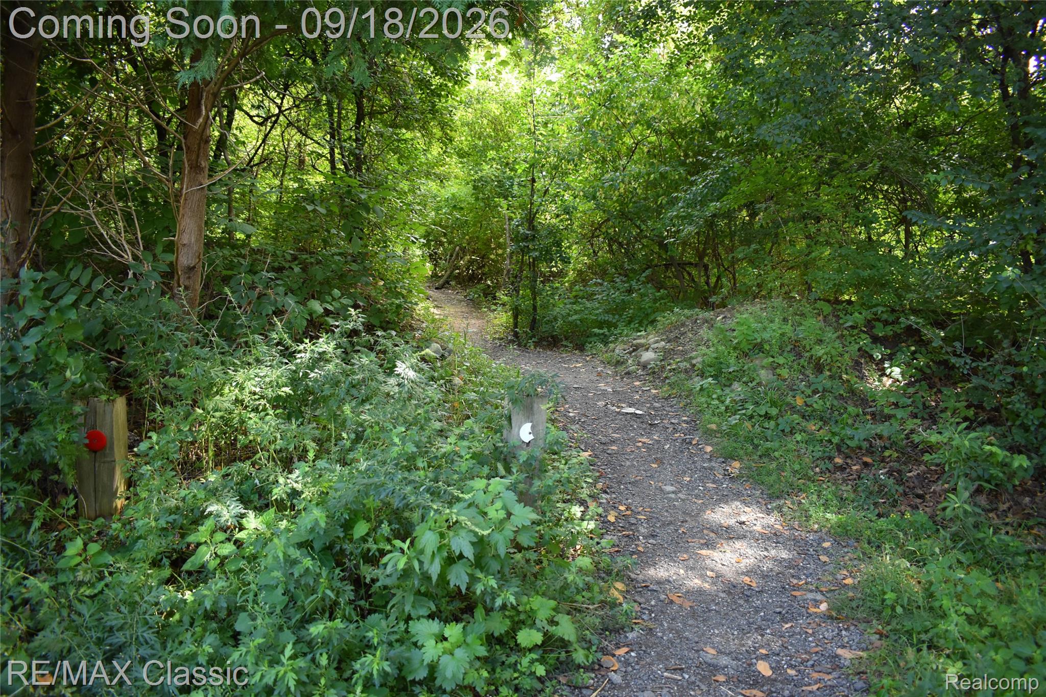 2899 Current Drive Rochester, MI 48309 - Photo 57 of 57 Pathway in back of subdivision to Innovation Hills Park