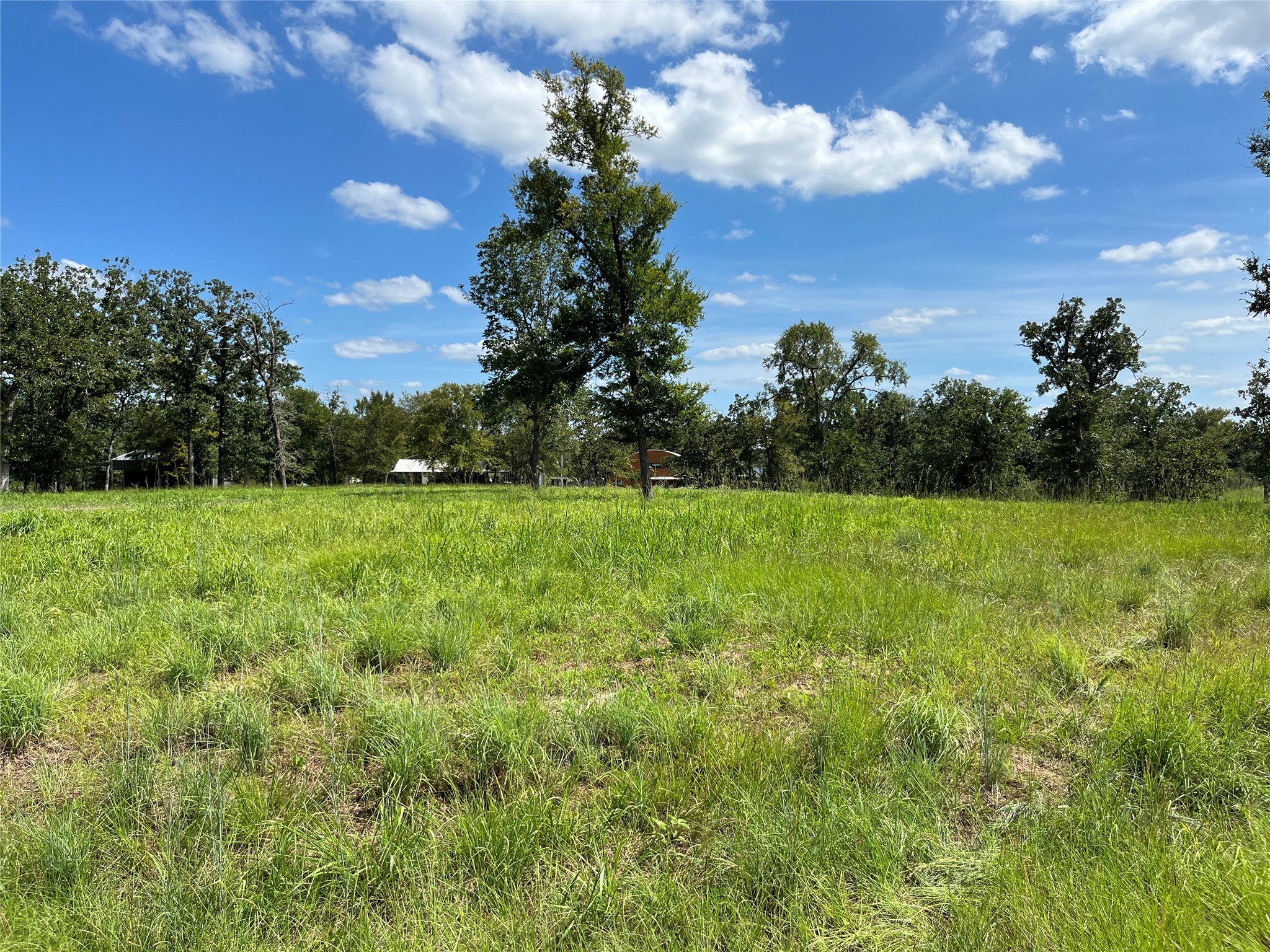 0 Hickory Loop Thornton, TX 76687 - Photo 2 of 7 a view of a green field with sunset in the background