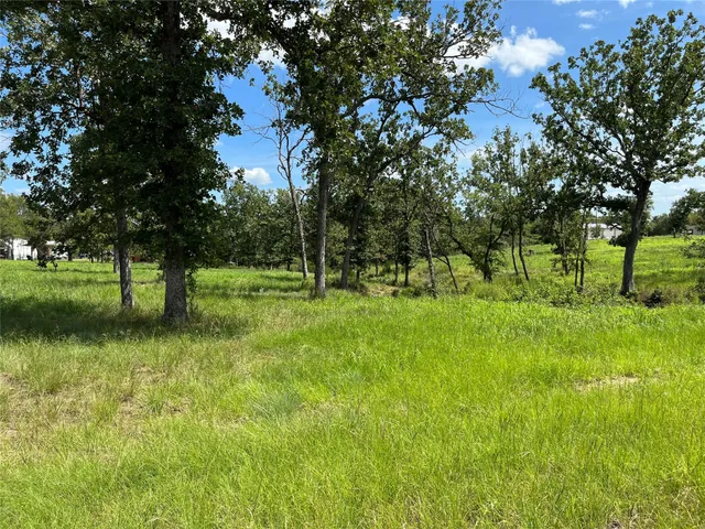 a view of park space